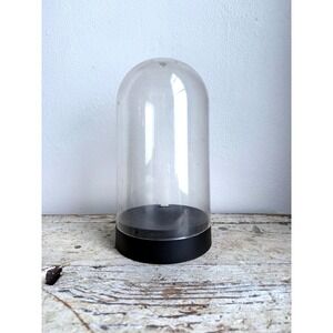 Acrylic Display Dome Case Cloche Globe Gift Decorative Protection DIY Vintage